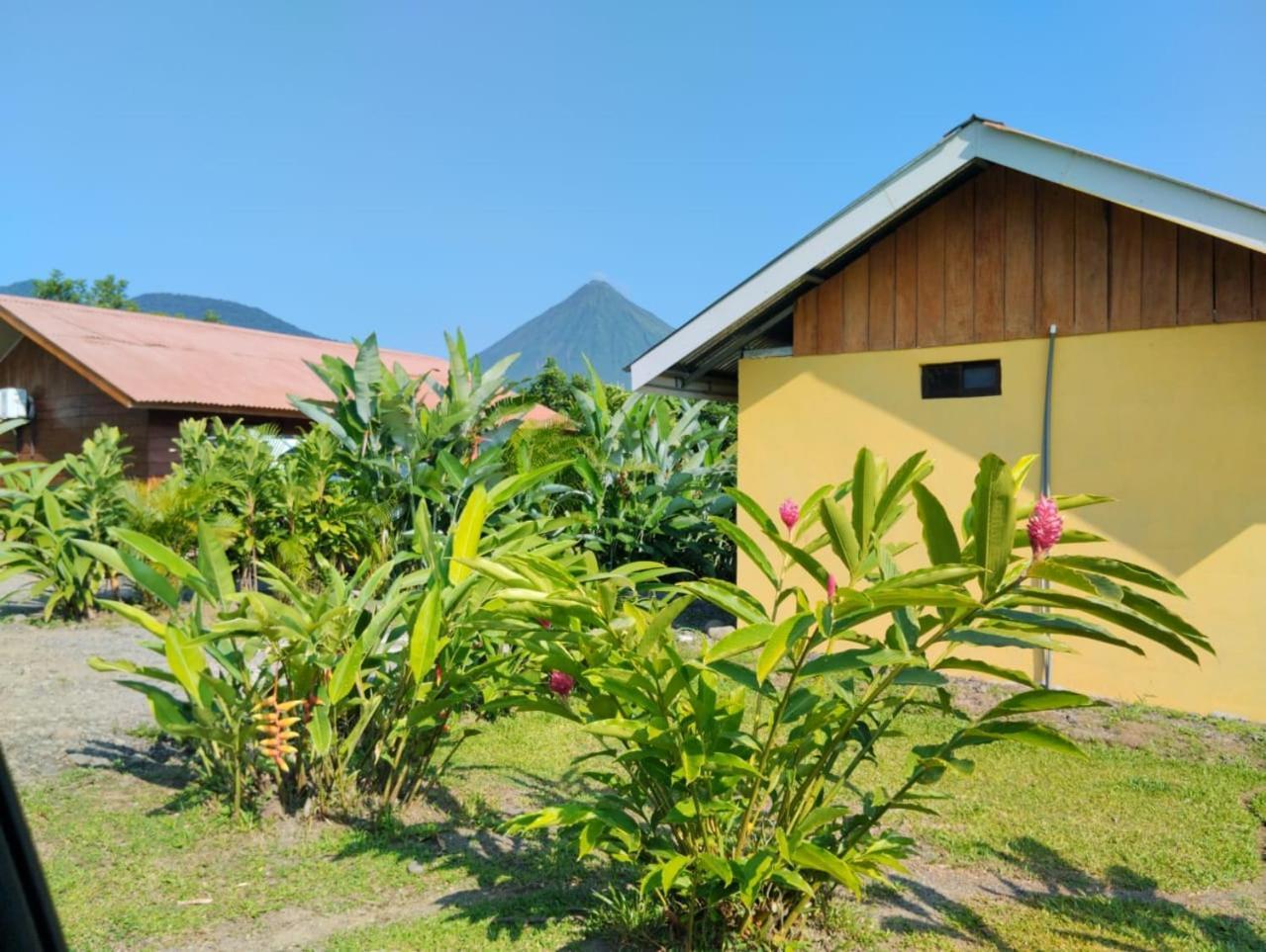 Cabana Rural Ave Del Paraiso Ла Фортуна Экстерьер фото