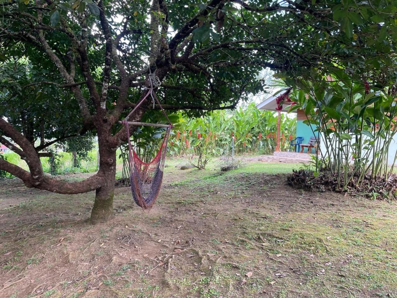 Cabana Rural Ave Del Paraiso Ла Фортуна Экстерьер фото